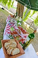 Buffet lunch in the garden