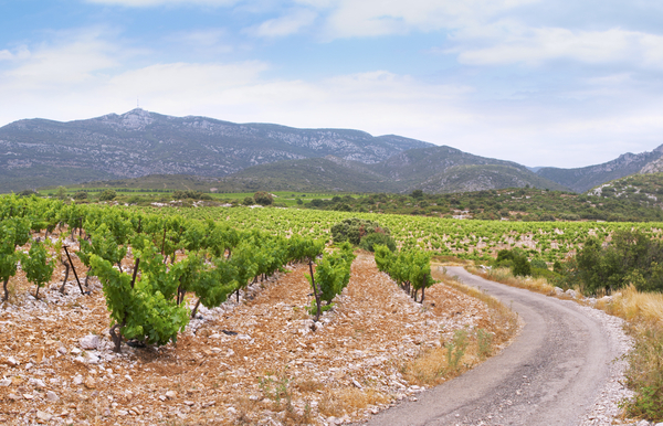 Languedoc landscape