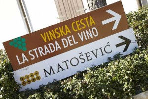 On the wine road in Istria, Croatia