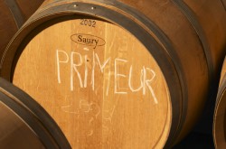 Primeur wine in barrel