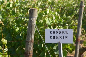 chenin blanc