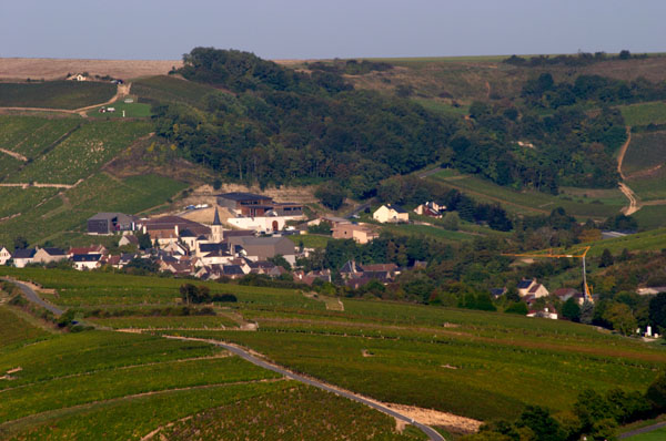 View over the landscape and vineyards in the Loire