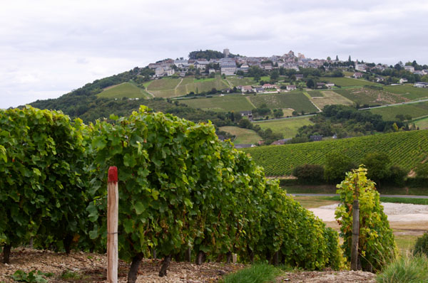 View of the Sancerre village and a vineyard