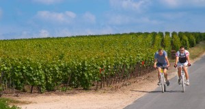 Cycling through vineyards in Champagne