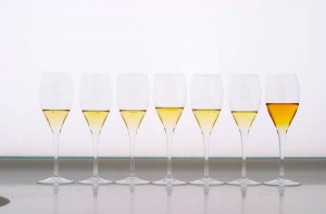 tasting glasses