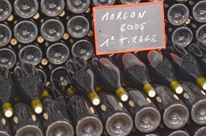 Bottles in the wine cellar