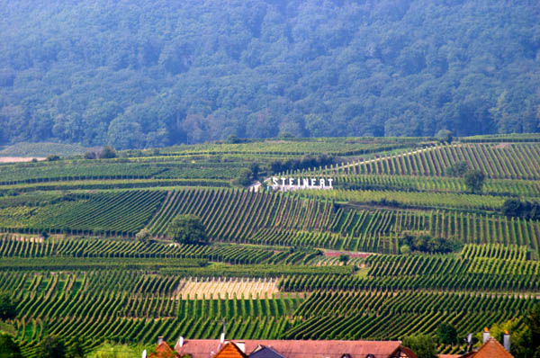 Grand cru vineyards in Alsace