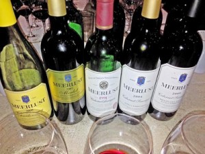 Tasting Meerlust wines