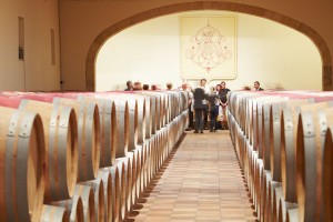 visit in a wine cellar in bordeaux