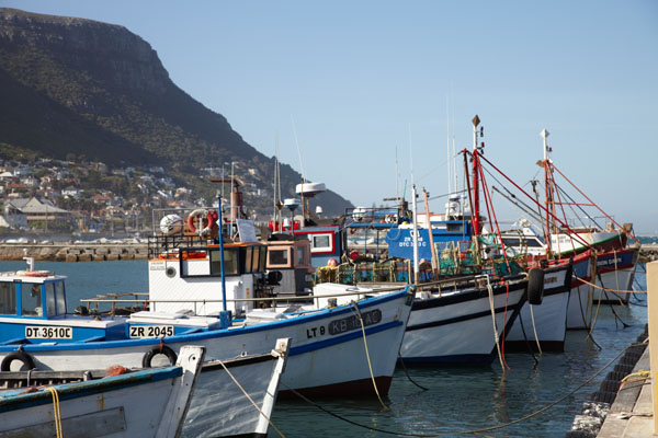 The harbour with fishing boats in Kalk Bay in South Africa