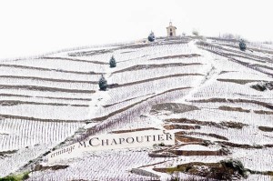 Winter in the Rhone Valley