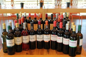 wines in montecucco