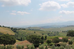 View over Montecucco