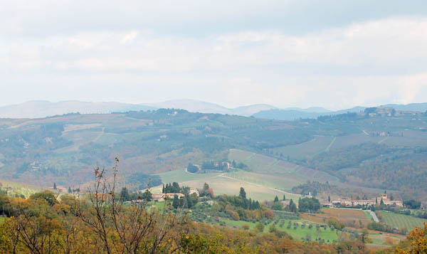 The Chianti landscape, Fattoria Nittardi