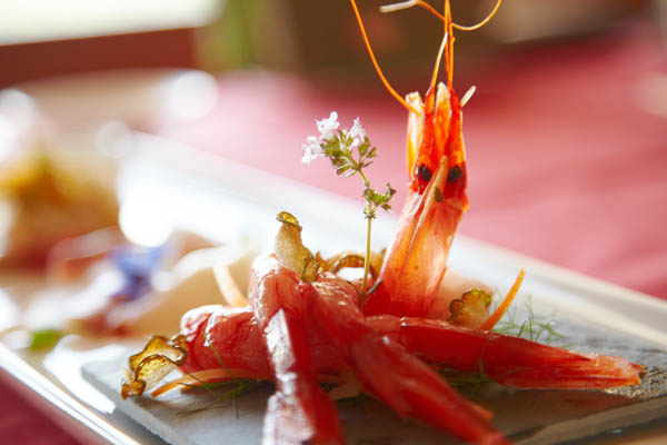 An elegant seafood creation as a starter for lunch