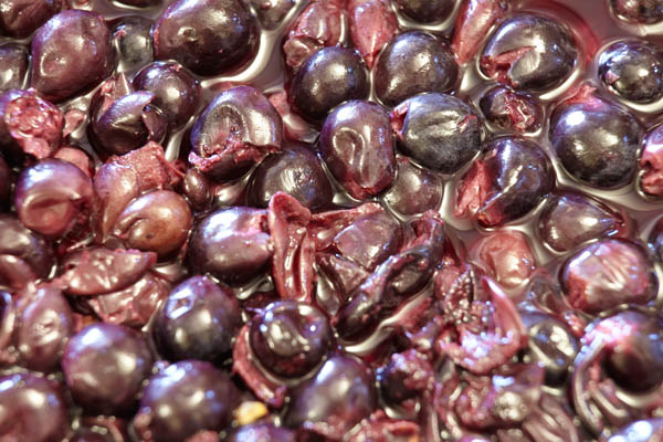 Fermenting grapes