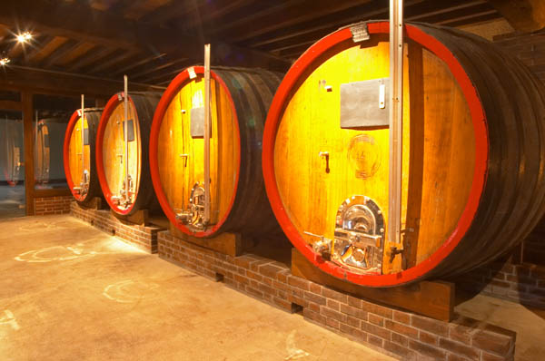 Oak vats in the cellar, Champagne Jacquesson