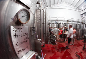 A tank with petit manseng at Zuccardi in Mendoza, Argentina