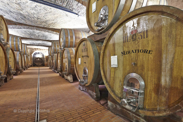 Old oak vats in a wine cellar in Piedmont