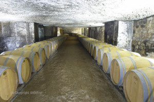 wine cellar