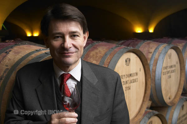 General Manager Pierre-Henry Gagey, Maison Louis Jadot, Burgundy