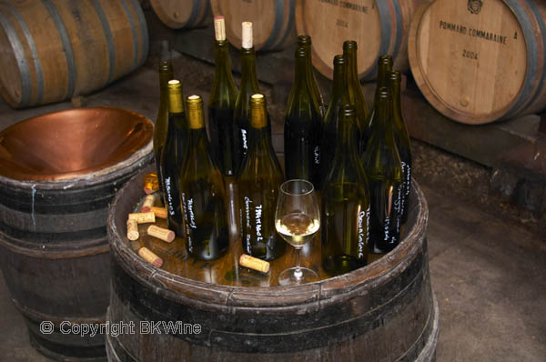 Wine tasting in the barrel cellar, Maison Louis Jadot, Burgundy