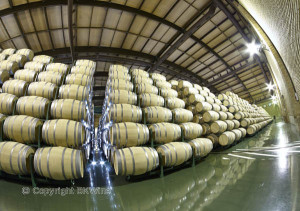 rioja wine cellar