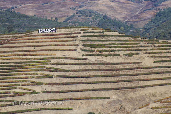 Vineyards with Taylor's sign, Douro Valley, Portugal