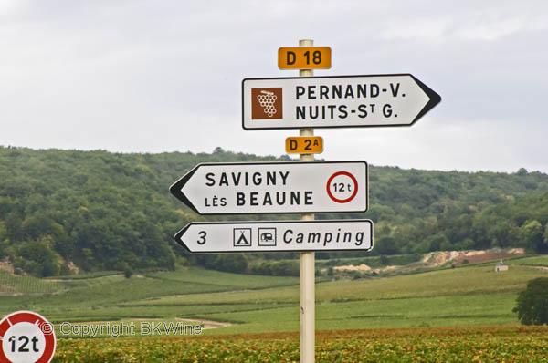 Vineyard and road sign, Pernand Vergelesses, Nuits Saint Georges, Savigny les Beaune, Burgundy