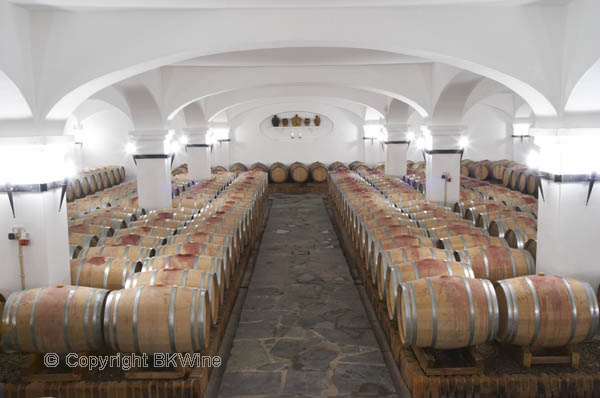 Oak barrel aging and fermentation cellar. J Portugal Ramos