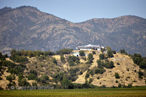 vineyards in chile