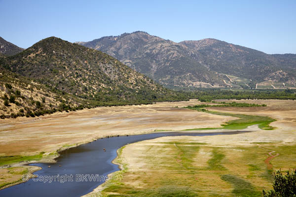 Landscape in the Colchagua Valley