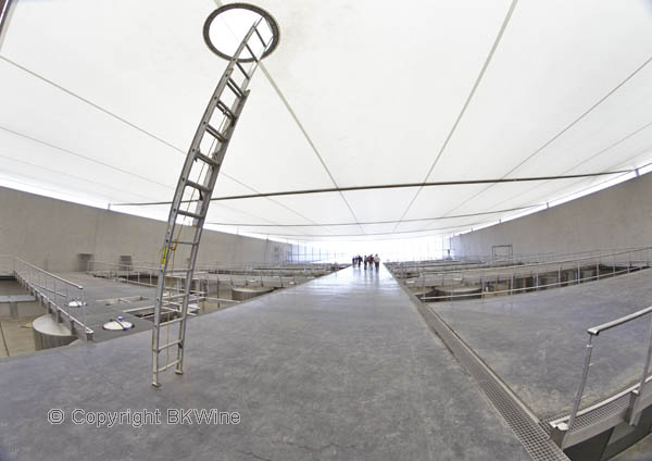 Vina Vik, inside the winery with its peculiar roof