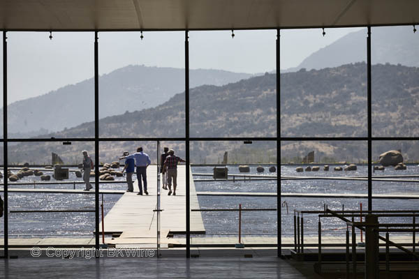 A view from the winery at Vina Vik, Chile