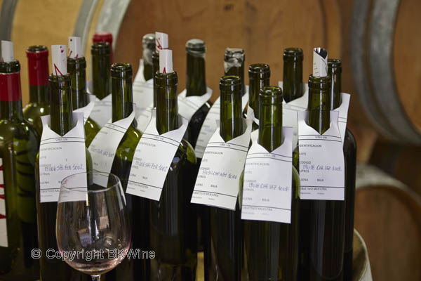 Tasting barrel samples at Vina Vik, Chile