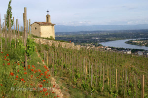 hermitage hill rhone valley