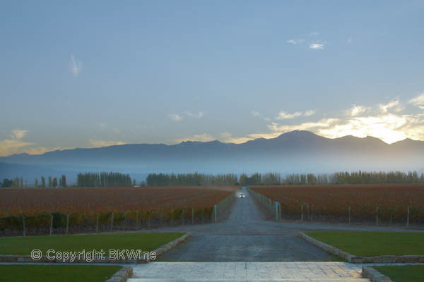 The vineyards and the Andes at Catena Zapata in Mendoza