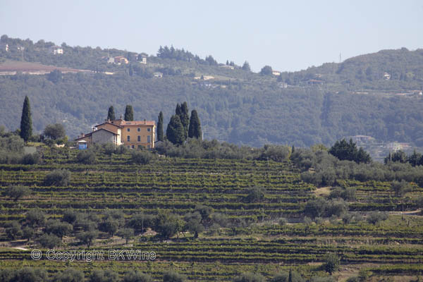 Landscape in Valpolicella, Veneto