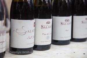 Domaine Saladin