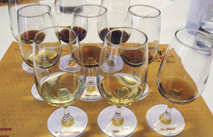 Tasting sherry