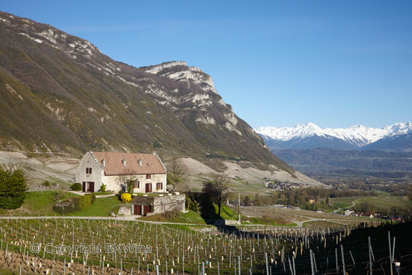 Vineyards and mountains in Savoie