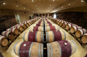 wine cellar in rioja