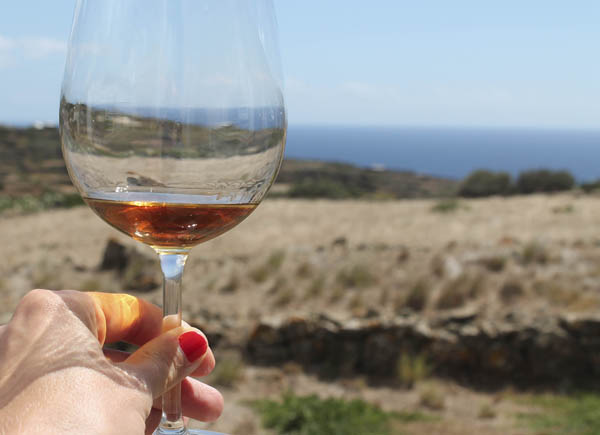 Dietro l'Isola, glass of passito