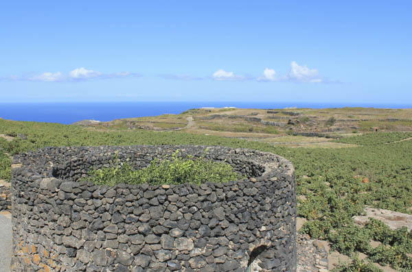 Giardino Pantescoprotection for orange and lemon trees, Pantelleria