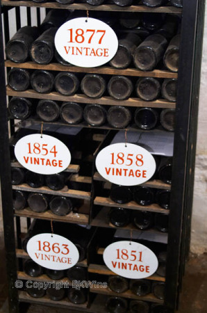 Old vintage port wines in the cellar