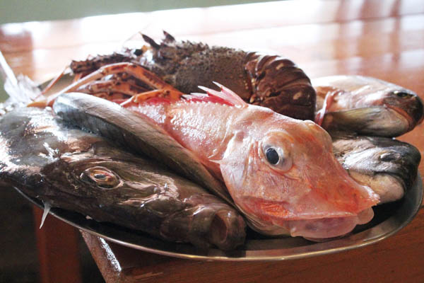 Fish for lunch on Pantelleria