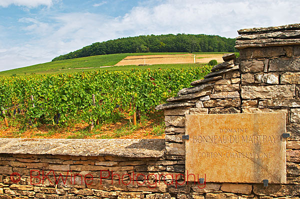 Domaine Bonneau du Martray Corton Charlemagne grand cru