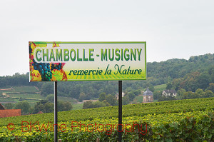 chambolle musigny