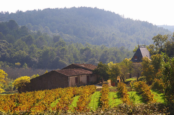 Domaine Borie la Vitarèle, Causses et Veyran, St Chinian, Languedoc