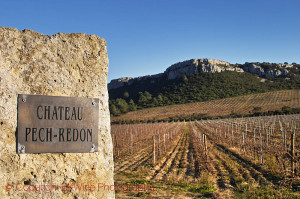 la clape landscape and vineyard